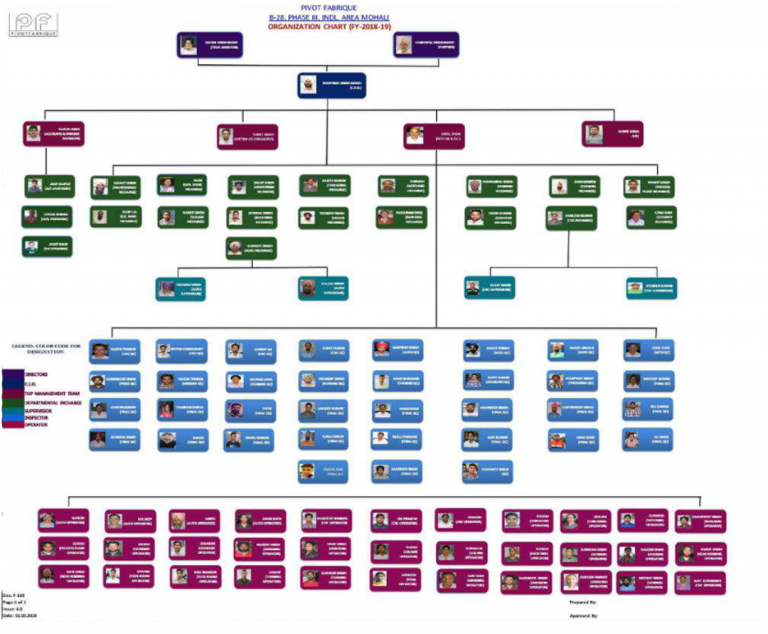 Pivot Organization Chart - pivotfabrique